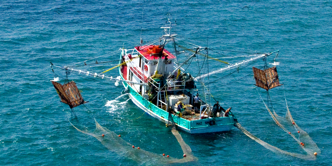 Grave situación del sector pesquero de altamar por abandono, corrupción y violencia