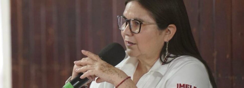 ”Trabajaremos por un presupuesto público para satisfacer los derechos de los mexicanos”: Imelda Castro y Enrique Inzunza